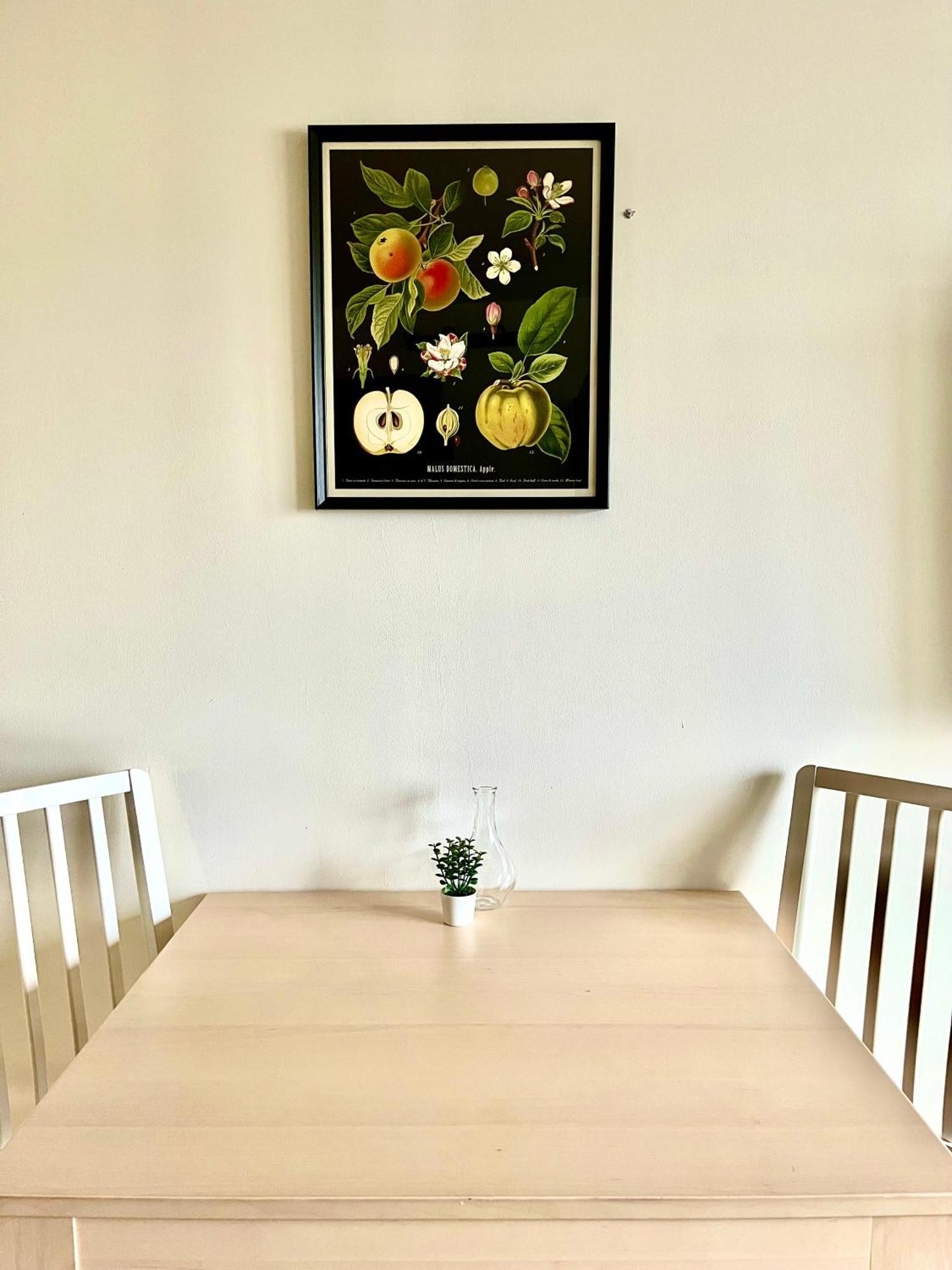 Logement Renove Proche Centre-Ville Lyon 维勒班 外观 照片